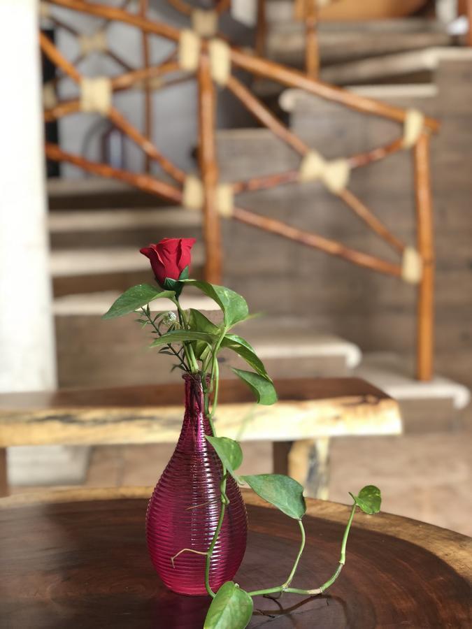 ואיאדוליד Hotel Real Colonial מראה חיצוני תמונה